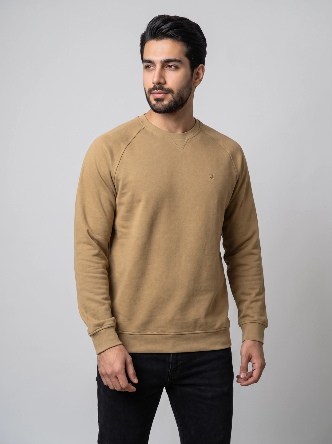 پلیور یقه گرد سلانیک مردانه 11608